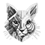 Logo Customizaê
